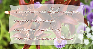 Aperçu de la carte : « Le verbe aimer est difficile à conjuguer, son passé n'est pas simple... »