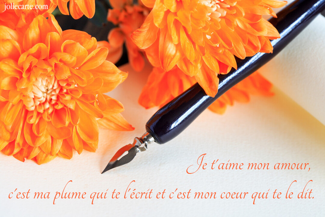Un porte-plume noir est posé sur une feuille blanche à côté de chrysanthèmes oranges, avec une citation d'amour écrite en cursive.