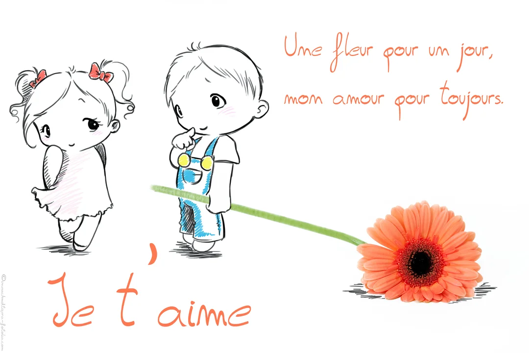 Sur fond blanc, un dessin d'un garçon timide offrant une fleur de gerbera orange à une fille, avec un message d'amour manuscrit.