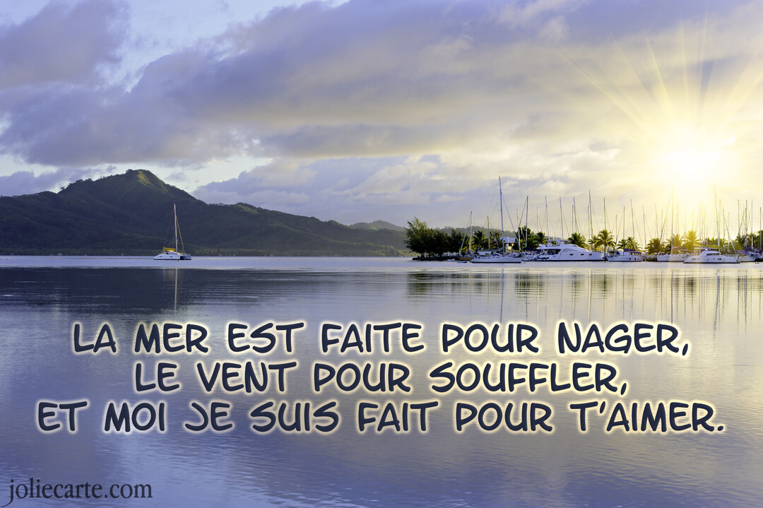 Paysage d'une baie calme au lever du soleil, avec des voiliers à quai et une montagne verdoyante en arrière-plan.