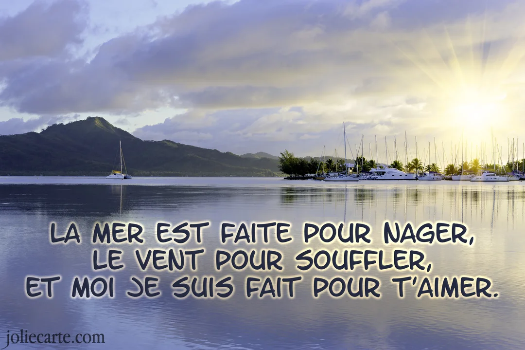 Paysage d'une baie calme au lever du soleil, avec des voiliers à quai et une montagne verdoyante en arrière-plan.