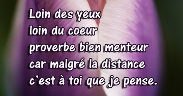 Aperçu de la carte : « Loin des yeux... un proverbe menteur car je pense à toi malgré la distance. »