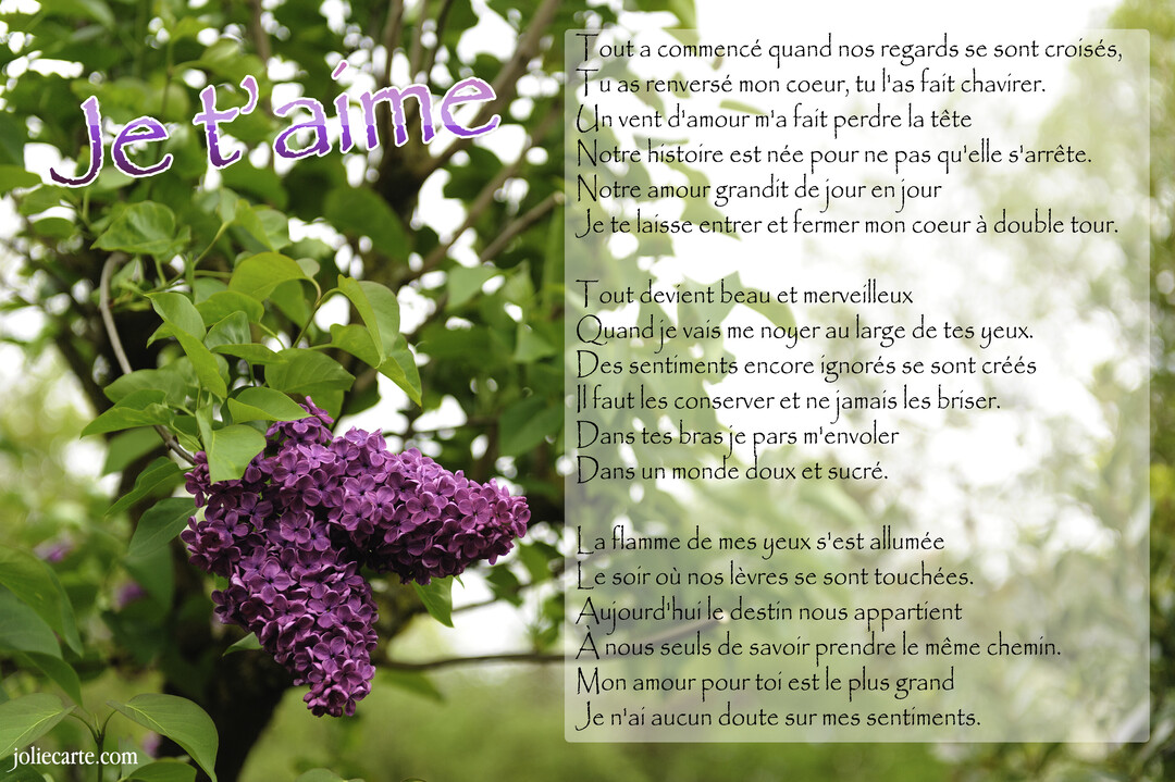 Une carte romantique montrant une grappe de fleurs de lilas violettes à gauche et un long poème d'amour sur un fond vert feuillu.