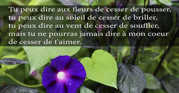 Aperçu de la carte : « ...tu ne pourras jamais dire à mon cœur de cesser de t'aimer. »