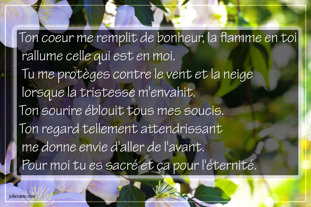 Un poème d'amour est superposé sur une photographie lumineuse de fleurs de clématites mauves et de feuillage vert en arrière-plan.
