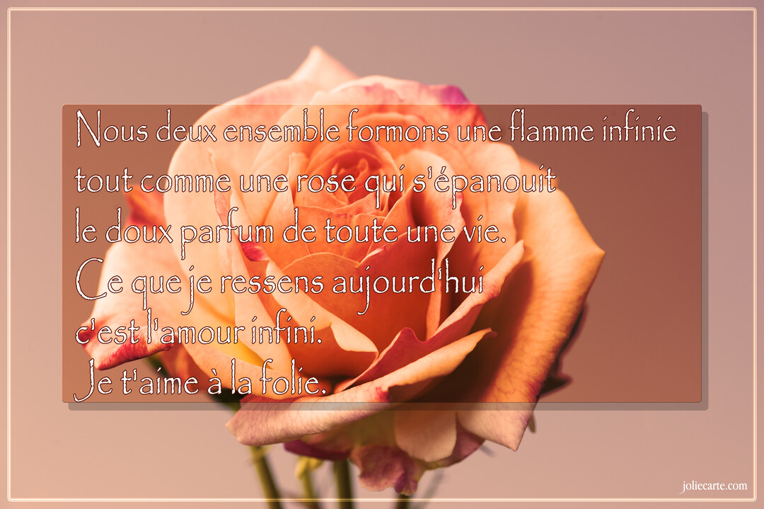 Gros plan d'une rose épanouie aux pétales orange et rose, sur un fond uni, avec un poème d'amour superposé au centre.