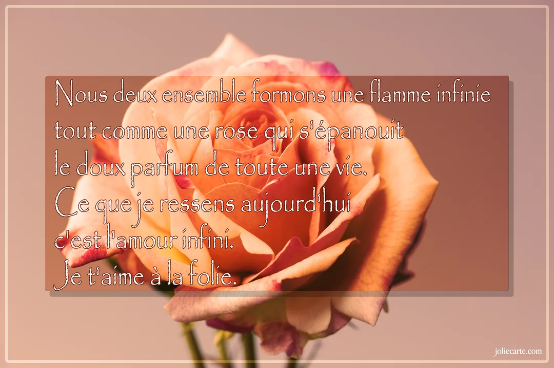 Gros plan d'une rose épanouie aux pétales orange et rose, sur un fond uni, avec un poème d'amour superposé au centre.