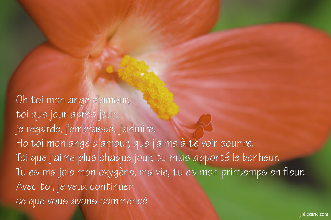 Une photographie en gros plan du cœur d'une fleur rouge-orangé, où un poème d'amour est inscrit en lettres blanches sur les pétales.