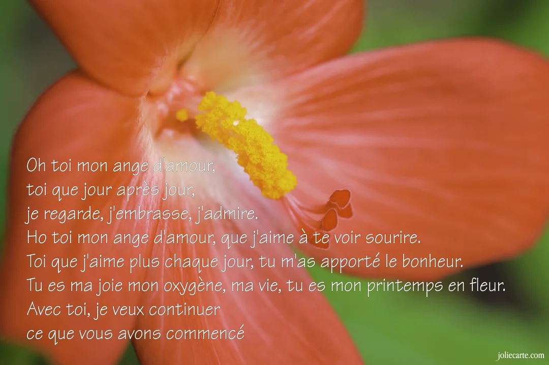 Une photographie en gros plan du cœur d'une fleur rouge-orangé, où un poème d'amour est inscrit en lettres blanches sur les pétales.