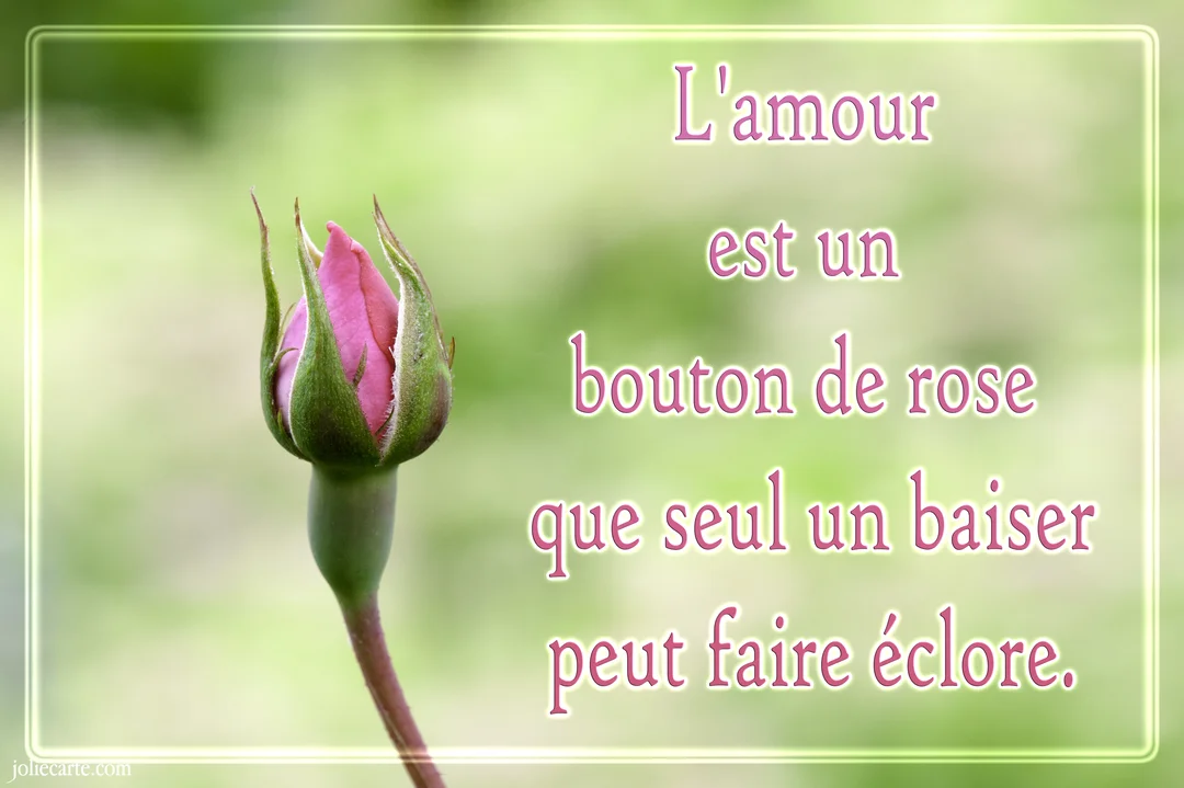 Un bouton de rose rose et délicat sur un fond vert flouté, accompagné d'une citation d'amour romantique écrite en rose.