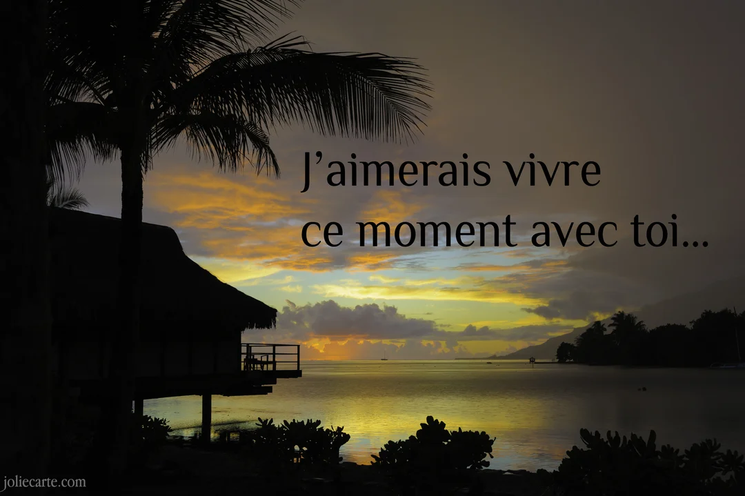La silhouette d'un bungalow sur pilotis et d'un palmier se découpe sur un magnifique coucher de soleil orangé au-dessus de la mer.