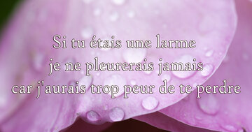 Aperçu de la carte : « Si tu étais une larme je ne pleurerais jamais car j'aurais trop peur... »