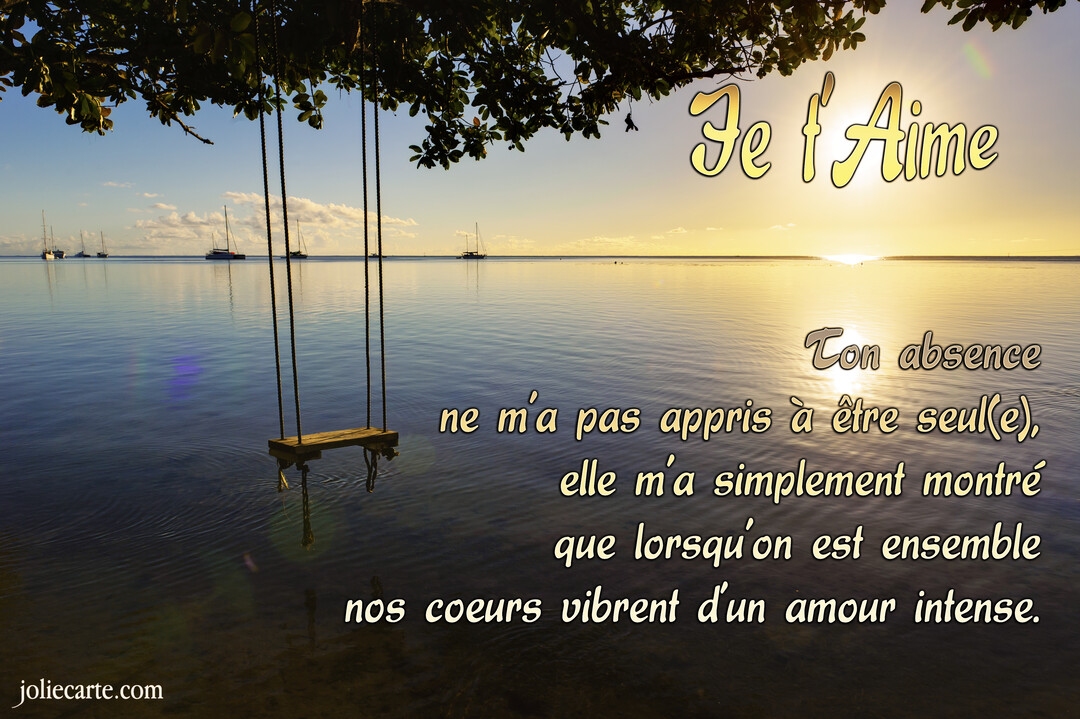 Une balançoire en bois suspendue à un arbre surplombe une mer calme au coucher du soleil, avec des voiliers naviguant au loin.