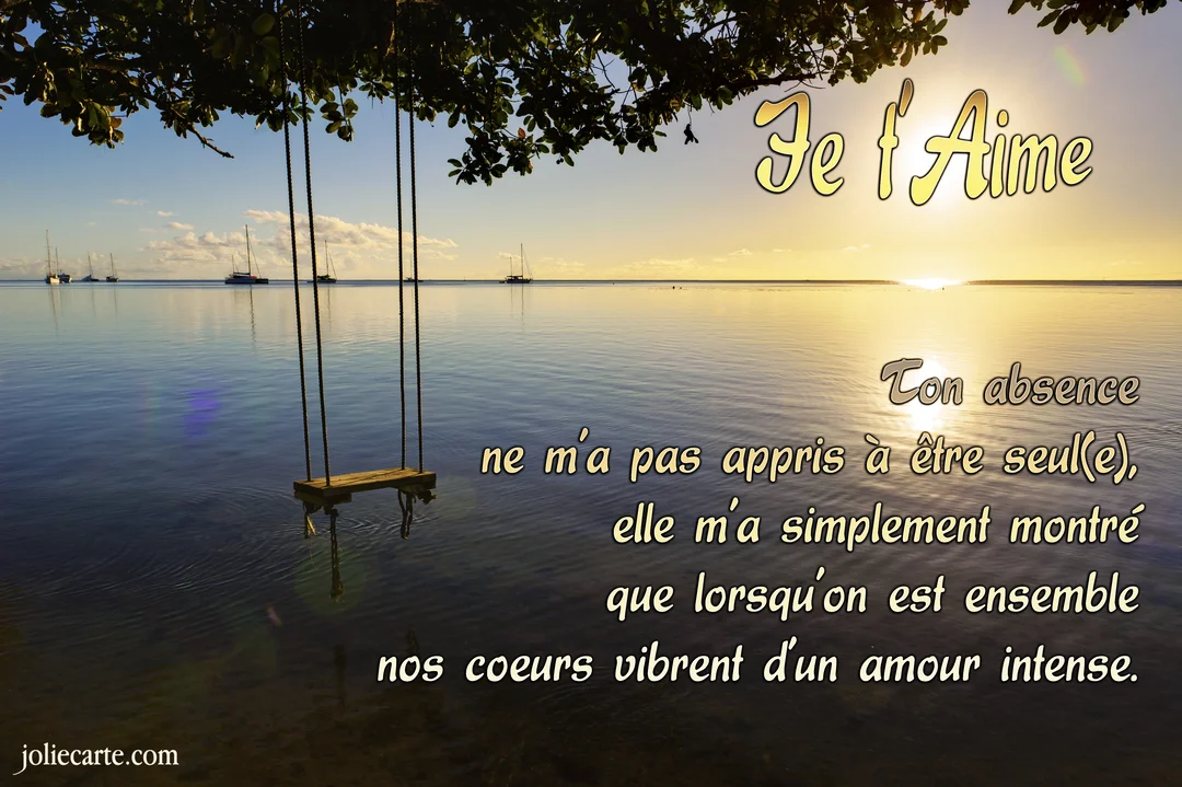 Une balançoire en bois suspendue à un arbre surplombe une mer calme au coucher du soleil, avec des voiliers naviguant au loin.