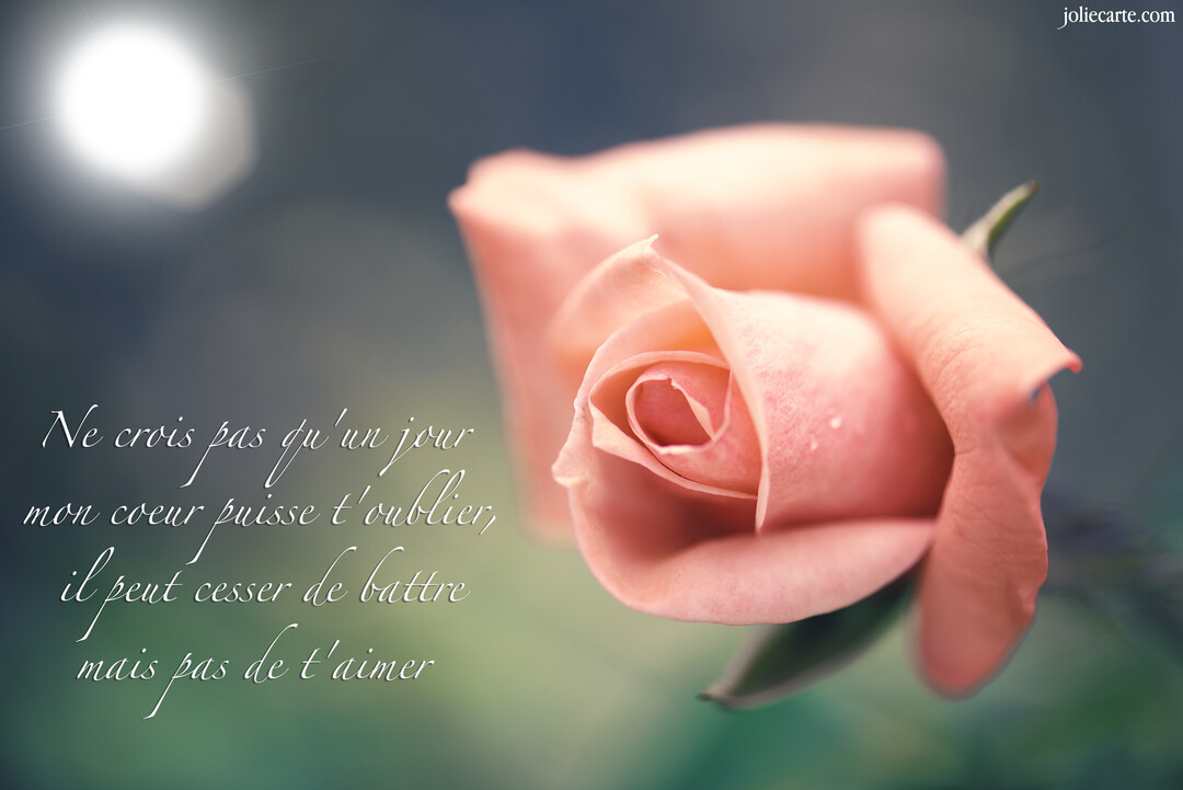 Gros plan sur une magnifique rose couleur pêche, accompagnée d'un poème d'amour, sur un fond flou bleu-gris avec un halo lumineux.