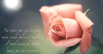 Aperçu de la carte : « ...il peut cesser de battre mais pas de t'aimer. »