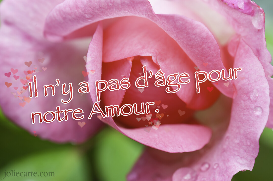 Gros plan sur une rose rose avec des gouttes de rosée, sur laquelle est écrit en rouge 'Il n'y a pas d'âge pour notre Amour'.