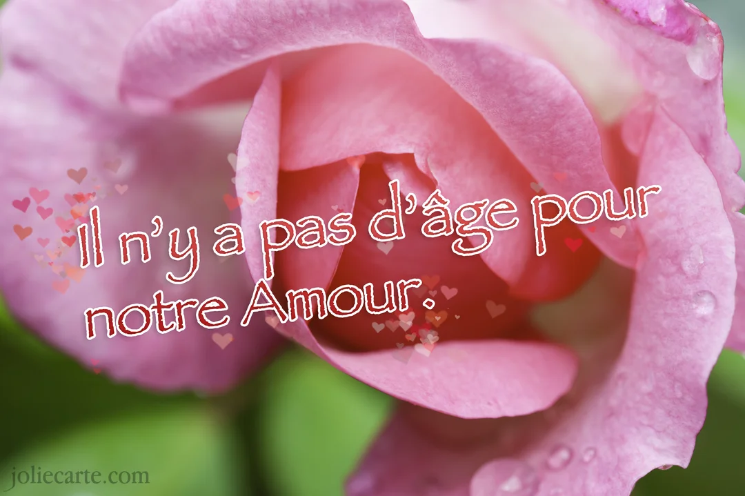 Gros plan sur une rose rose avec des gouttes de rosée, sur laquelle est écrit en rouge 'Il n'y a pas d'âge pour notre Amour'.