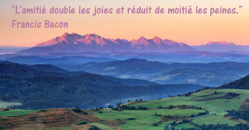 Aperçu de la carte : « "L'amitié double les joies et réduit de moitié les peines..." »
