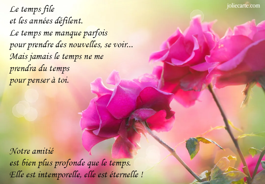 Deux roses fuchsia éclatantes se détachent sur un arrière-plan flou et pastel, accompagnées d'un texte poétique sur l'amitié.