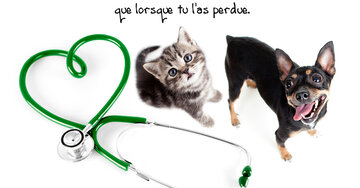 Aperçu de la carte : « La véritable amitié, c'est comme la santé, on n'en connaît la valeur que... »