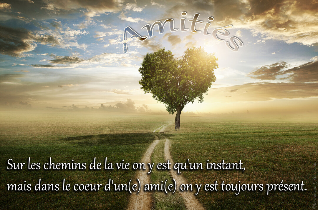 Un paysage onirique au coucher du soleil montrant un chemin de terre menant à un arbre solitaire dont le feuillage forme un cœur.