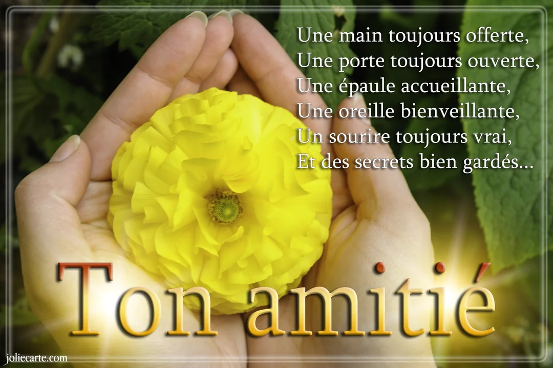 Deux mains en coupe tiennent délicatement une grande fleur jaune épanouie, sur un fond de feuillage vert, illustrant la préciosité de l'amitié.