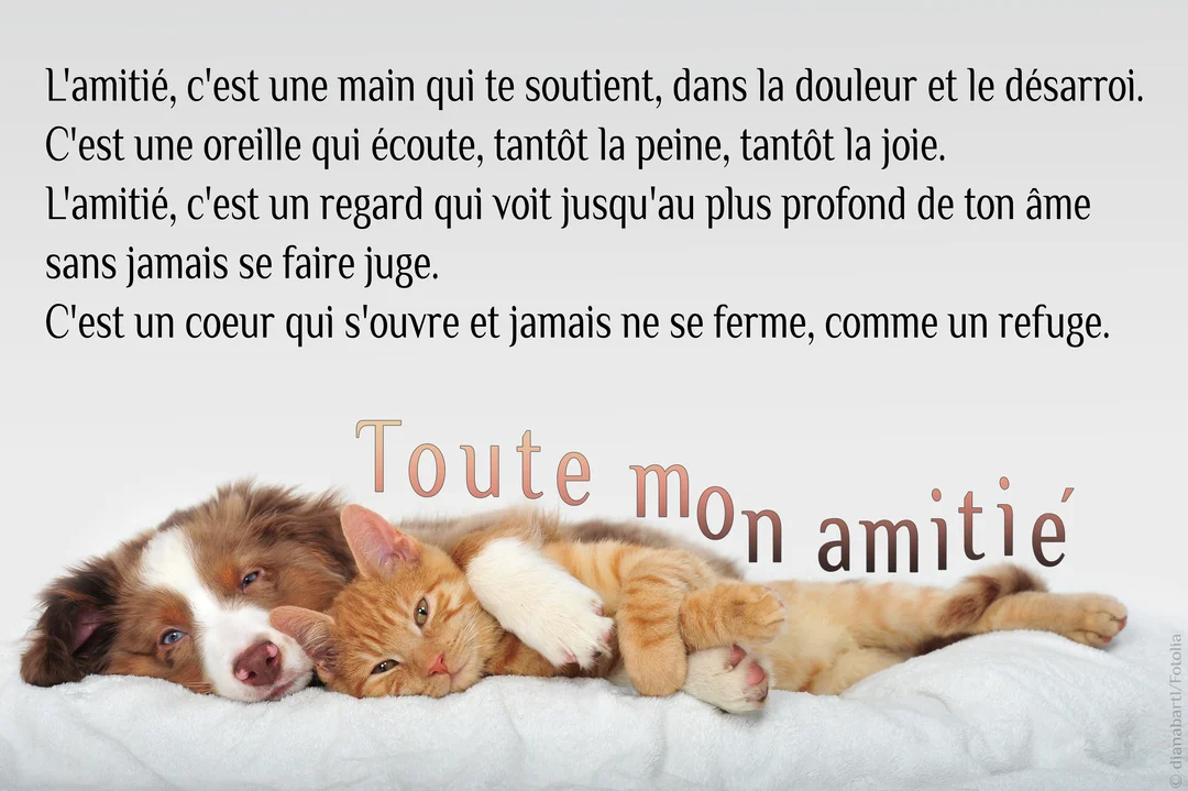 Un chiot berger australien et un chaton roux sont endormis, blottis l'un contre l'autre sur une couverture blanche duveteuse, évoquant la tendresse.