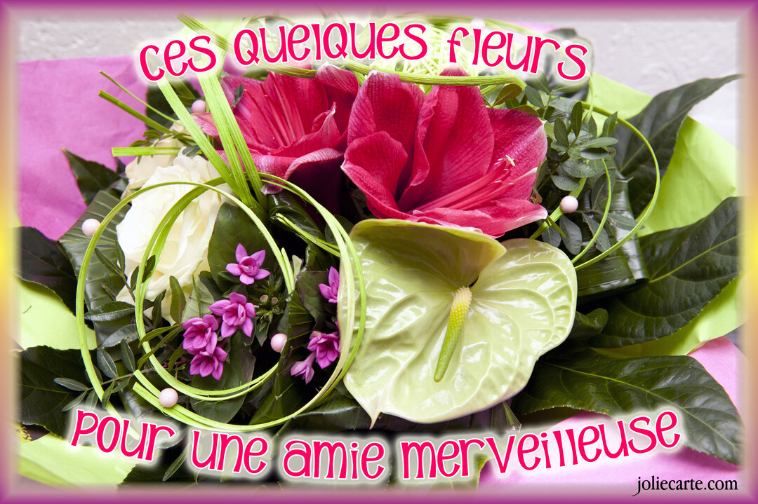 Gros plan d'un bouquet floral sophistiqué, composé d'amaryllis rouges, d'un anthurium vert et de roses blanches, sur fond de papier coloré.