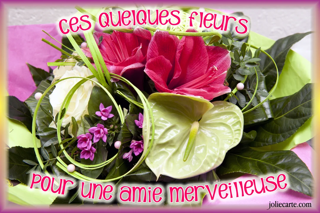 Gros plan d'un bouquet floral sophistiqué, composé d'amaryllis rouges, d'un anthurium vert et de roses blanches, sur fond de papier coloré.