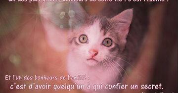 Aperçu de la carte : « ...l'un des bonheurs de l'amitié : c'est d'avoir quelqu'un à qui confier un secret. »