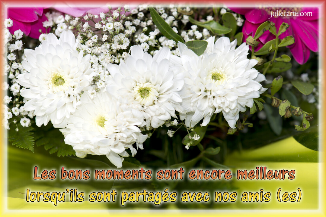 Un gros plan sur un bouquet floral composé de chrysanthèmes blancs et de gypsophiles, avec des fleurs roses en arrière-plan et un texte sur l'amitié.