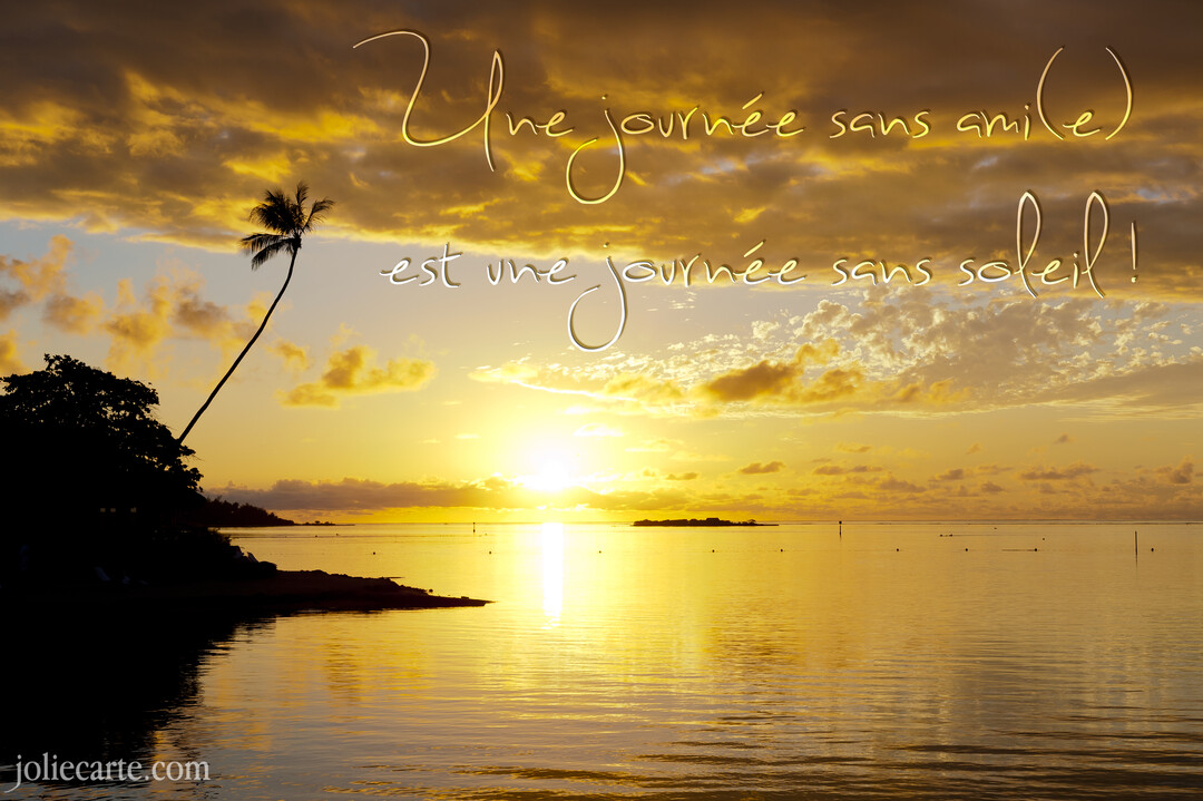 Un coucher de soleil doré sur l'océan illumine un ciel nuageux, avec la silhouette d'un palmier sur la gauche de la carte.