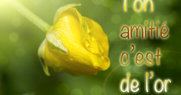 Aperçu de la carte : Ton amitié c'est de l'or