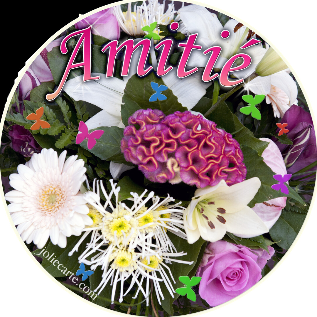 Un gros plan sur un bouquet de fleurs composé de roses, lys, gerberas et chrysanthèmes, avec le mot 'Amitié' et des papillons décoratifs.