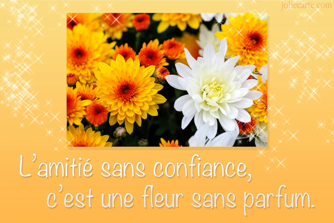 Une photographie de chrysanthèmes jaunes, orange et blancs sur un fond orangé scintillant, avec un texte manuscrit sur la confiance en amitié.