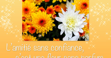 Aperçu de la carte : L'amitié sans confiance c'est une fleur sans parfum.