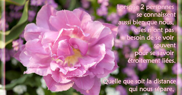 Aperçu de la carte : « Lorsque 2 personnes se connaissent bien, la distance ne compte pas... »