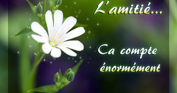 Aperçu de la carte : L'amitié, ca compte énormément
