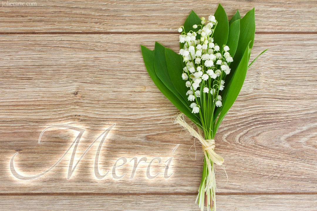 Un bouquet de muguet aux clochettes blanches et feuilles vertes, noué avec une ficelle, repose sur une surface en bois à côté du mot 'Merci'.