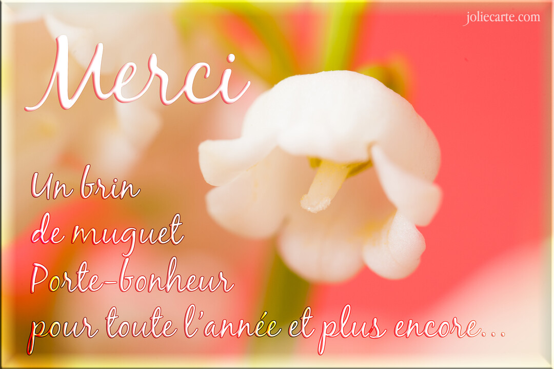 Photographie en gros plan d'une clochette de muguet blanche sur un fond flou aux teintes chaudes de rose et d'orangé avec un texte.