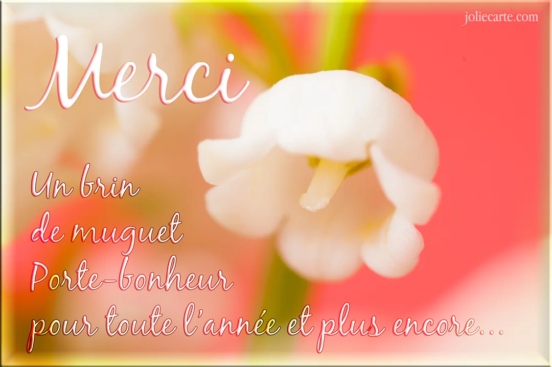 Photographie en gros plan d'une clochette de muguet blanche sur un fond flou aux teintes chaudes de rose et d'orangé avec un texte.