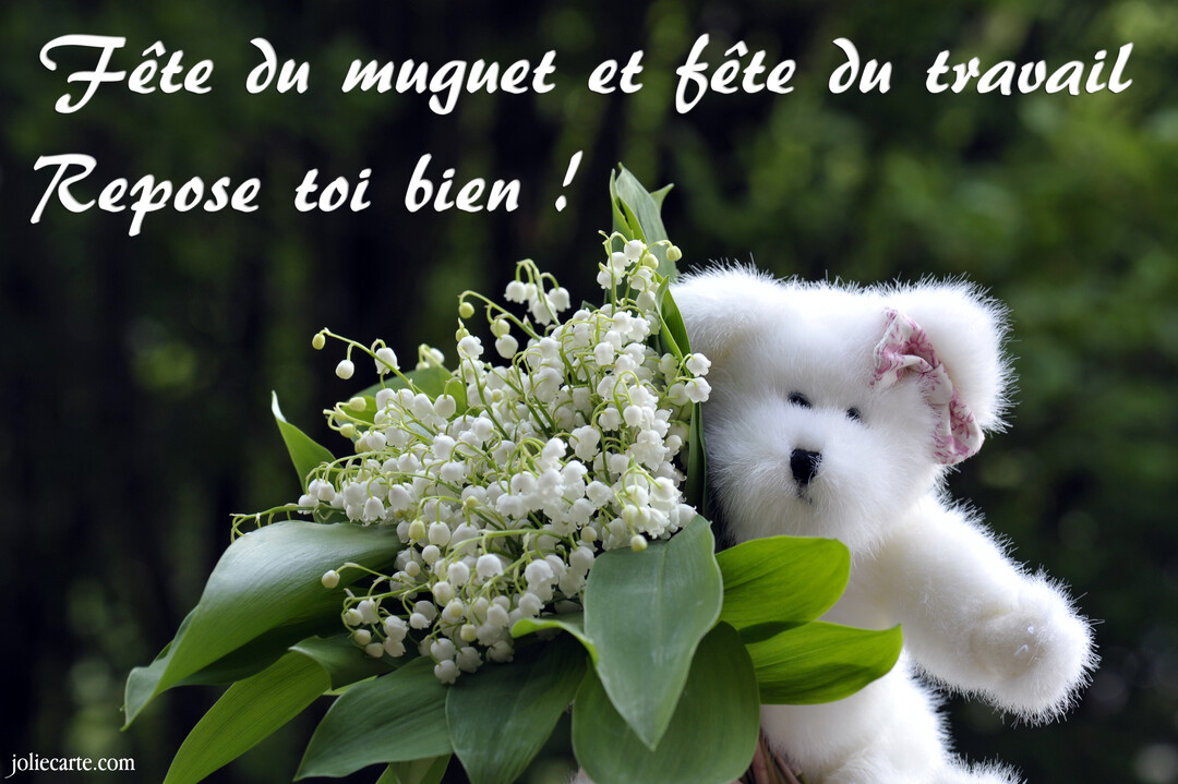 Un ours en peluche blanc tout doux tient un bouquet de muguet, sur un fond de verdure, avec un message de vœux.