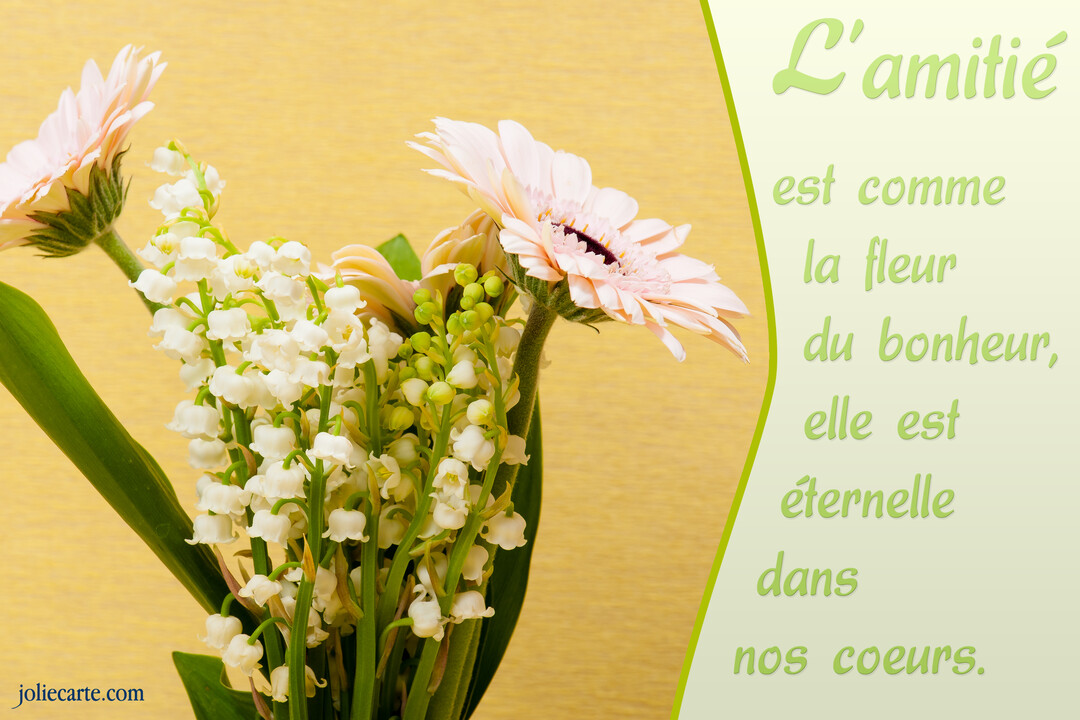 Photographie d'un bouquet de muguet blanc et de gerberas rose pâle sur un fond jaune, avec un texte poétique sur l'amitié.