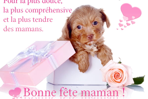 Carte de Fête des Mères avec un chiot marron sortant d'une boîte cadeau, une rose rose et un message de tendresse pour maman.