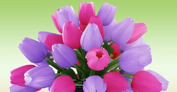 Aperçu de la carte : Pour une grand-mère formidable ! Bonne fête !