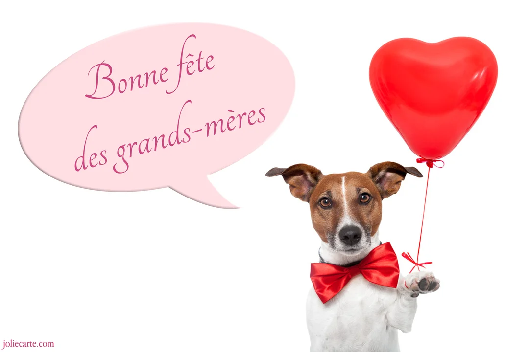 Un chien Jack Russell portant un nœud papillon rouge tient un ballon en forme de cœur, à côté d'une bulle de texte rose.