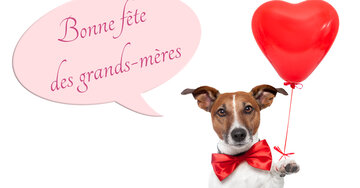 Aperçu de la carte : Bonne fête des grands-mères