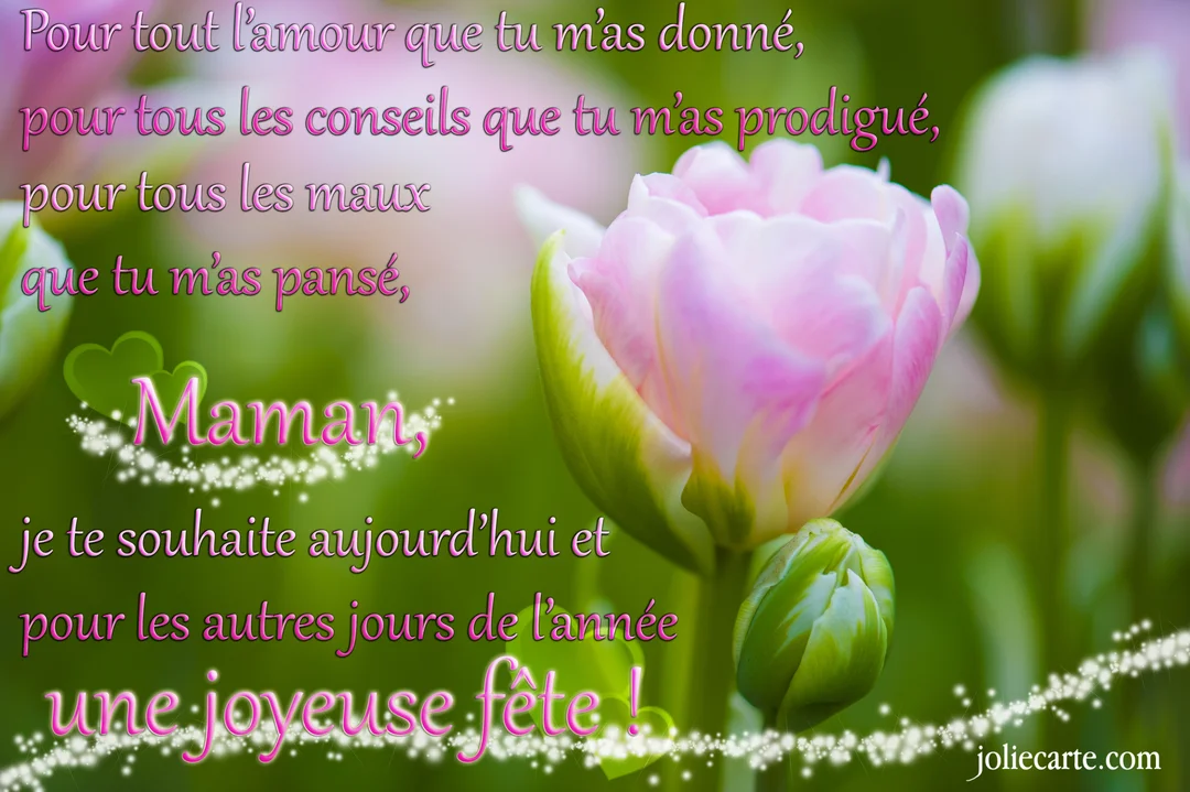 Une carte illustrée d'une tulipe rose en pleine floraison, avec un texte poétique superposé en rose pour souhaiter une bonne fête à sa maman.