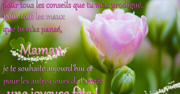 Aperçu de la carte : « Pour tout l'amour que tu m'as donné, pour tous les conseils que tu m'as... »